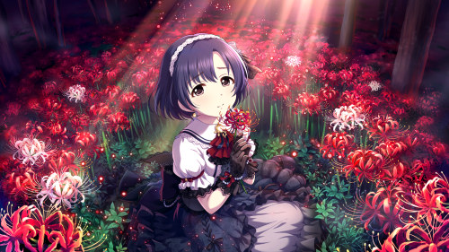 THE-iDOLMSTER-Cinderella-Girls-Starlight-Stage-170724--CU---SSR.png