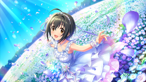 THE-iDOLMSTER-Cinderella-Girls-Starlight-Stage-190430-FES-CU---SSR.png
