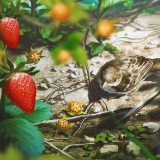 pid-72190726HAPPY-LIFE