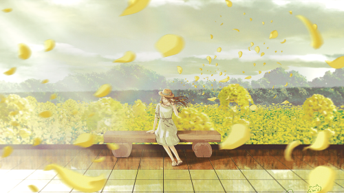 (pid 76044364)菜の花畑と少女